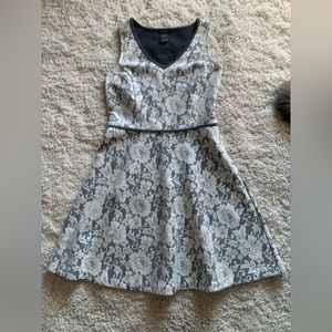 Ann Taylor Grey and White Lace Dress